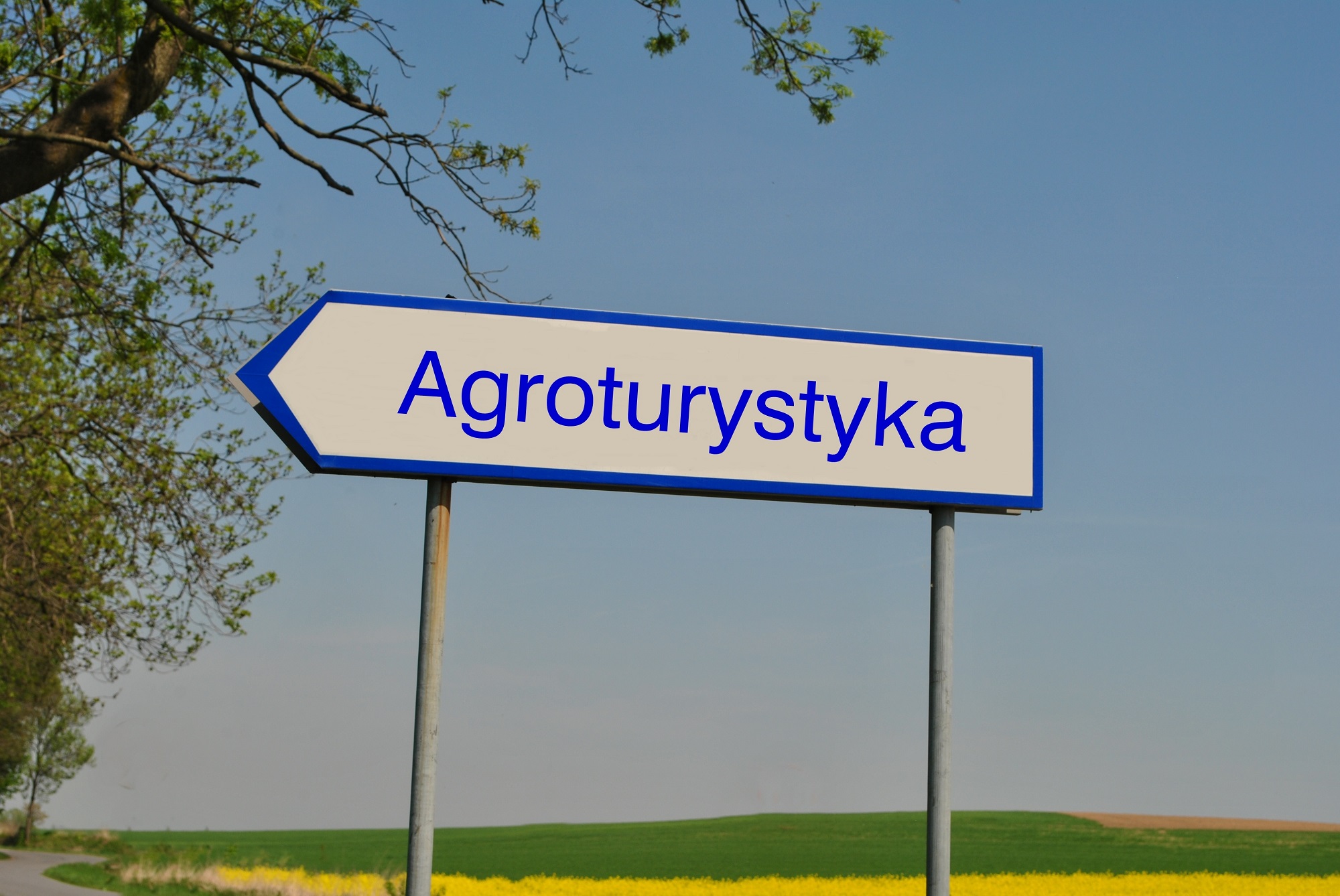 Gospodarstwo agroturystyczne kujawsko-pomorskie